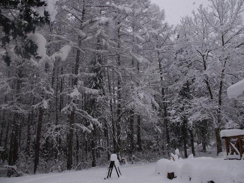 Sunny Side Hut Bed & Breakfast Hakuba Ngoại thất bức ảnh